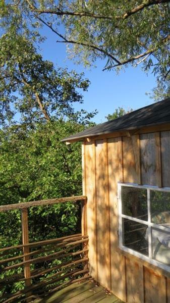 Treehouse B&B Rabjerg Ngoại thất bức ảnh