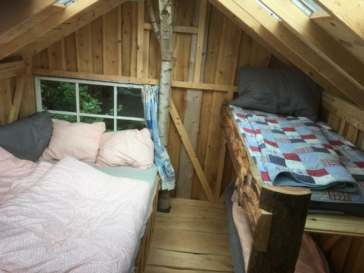 Treehouse B&B Rabjerg Ngoại thất bức ảnh